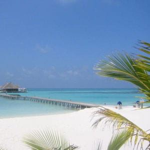 les plages de sable blanc des maldives pourraient rapidement disparaître sous