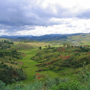 verte vallée malgache