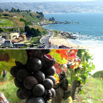 la terre du chili, entre les andes et le pacifique, offre d'excellentes