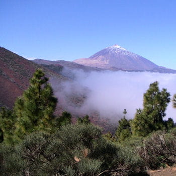 les paysages exotiques de tenerife
