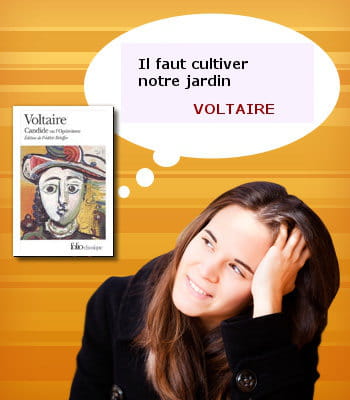 Conclusion Dissertation Candide Voltaire