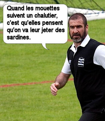 eric the 'king', l'ami des mouettes.