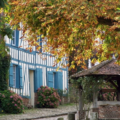 Flaubert rencontre madame arnoux