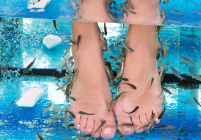 fish pedicure danger
