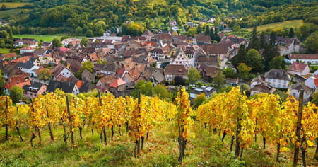 Sur la route des vins