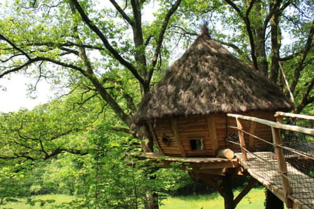 Dormir dans une cabane perchée