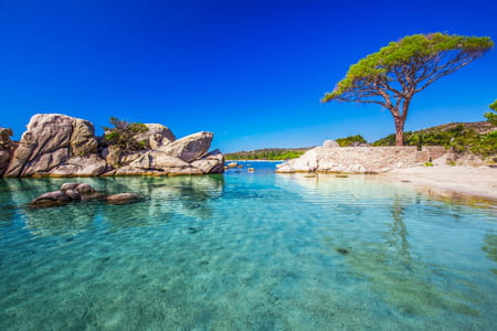 Palombaggia