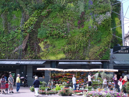 Mur Végétalisé du marché des Halles