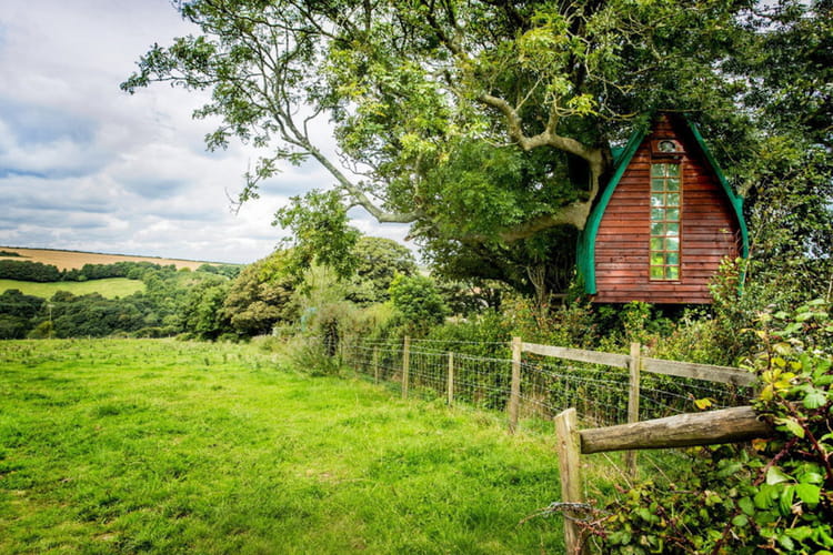 Une maison dans les arbres en cornouailles Une maison dans les arbres en cornouailles