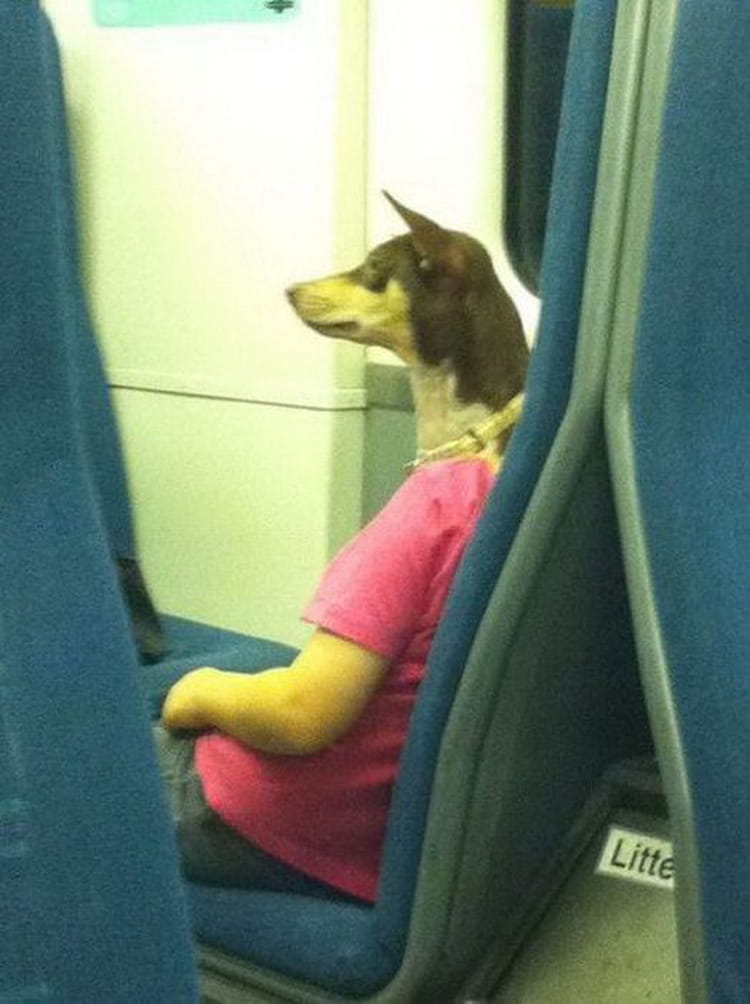 Illusion chien dans le métro