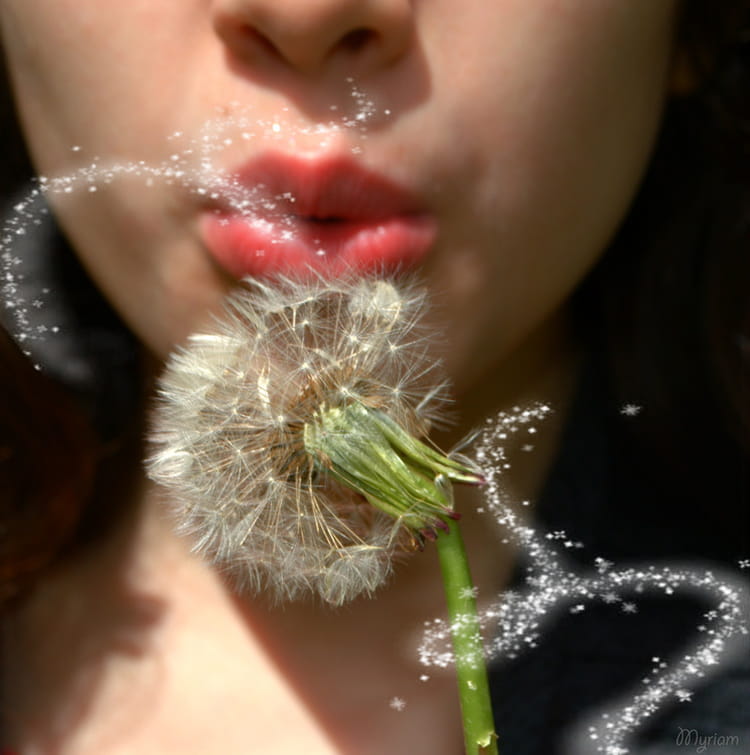 Faire un voeu Ces photos sous le signe de l
