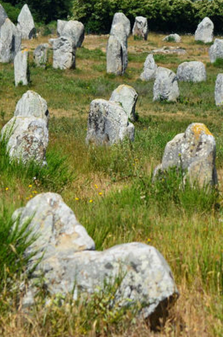 Carnac Sur Les Traces Du Royaume Disparu Les menhirs de Carnac : quelle signification ? : Les mystères de l