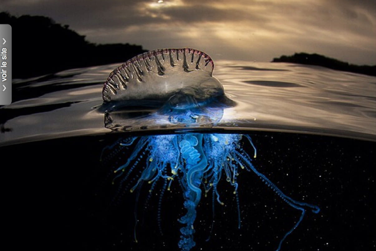 les deux mers qui ne se rencontrent pas