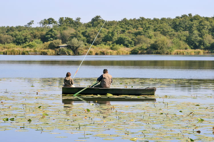Drom luhlan oude le champ de blé linjecteur pour la chasse et la pêche
