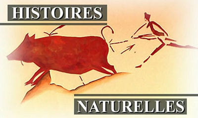 histoires naturelles, le documentaire du bout de la nuit sur tf1
