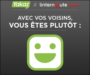 300x250 yakaz linternaute gif