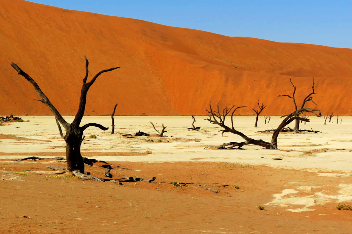 le désert du namib en namibie les plus beaux déserts du original resumes
