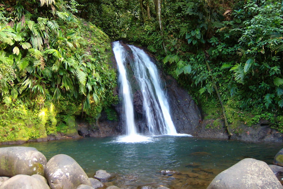 Cascade des Ecrevisses en Guadeloupe 30 chutes d'eau spectaculaires