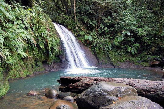 Cascade des Ecrevisses en Guadeloupe : Les chutes d'eau ...