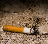 c'est un mégot de cigarette mal éteinte qui aurait déclenché l'incendie.