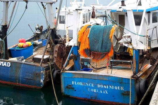 Comme faire la mie pour la pêche