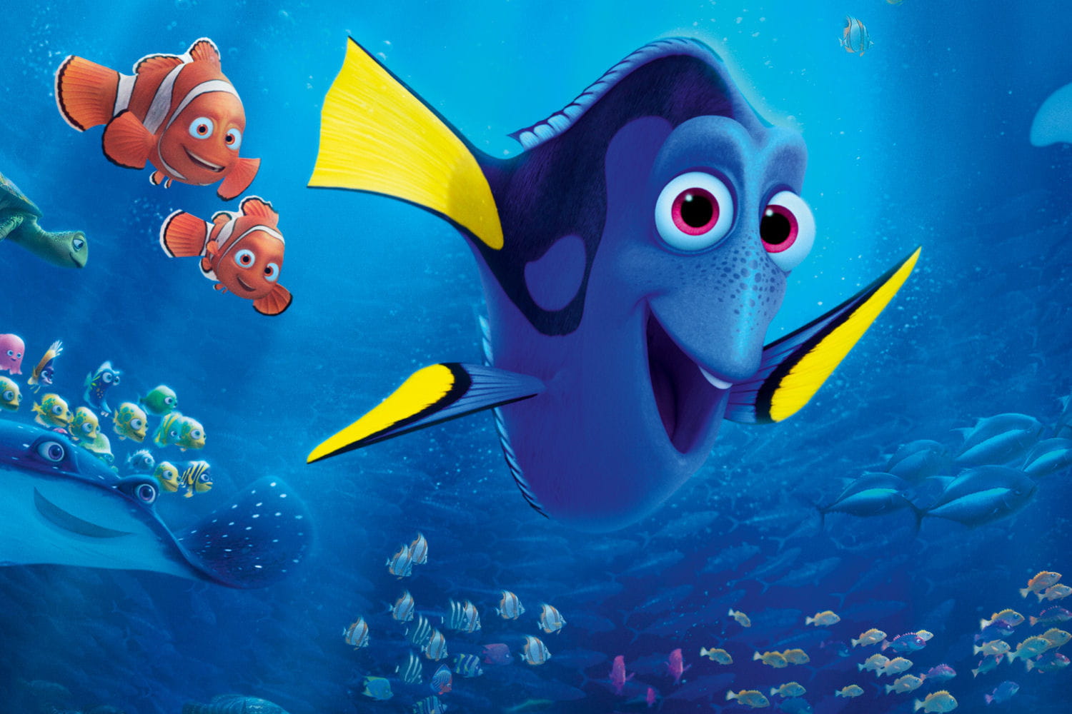 Le Monde De Dory Film Complet En Français LE MONDE DE DORY TELECHARGER TORRENT LE MONDE DE DORY FRENCH BLURAY